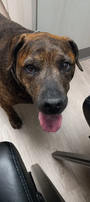 Capps Veterinary Clinic 12