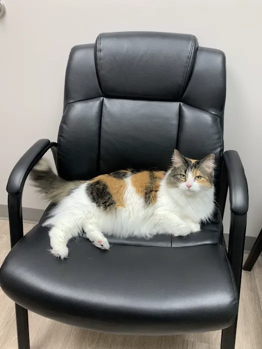 Capps Veterinary Clinic 12