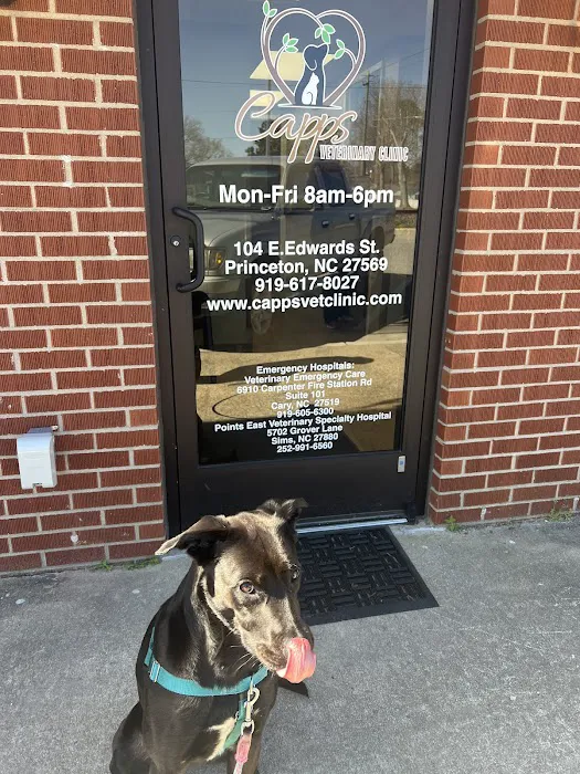 Capps Veterinary Clinic 12