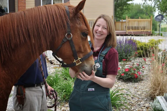 Petersburg Veterinary Clinic 6