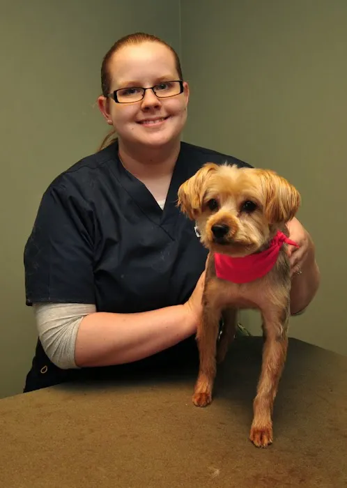 Petersburg Veterinary Clinic 3