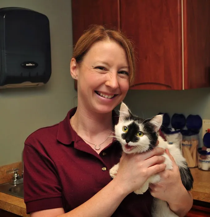 Petersburg Veterinary Clinic 9