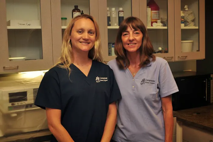 Cornerstone Animal Hospital 12