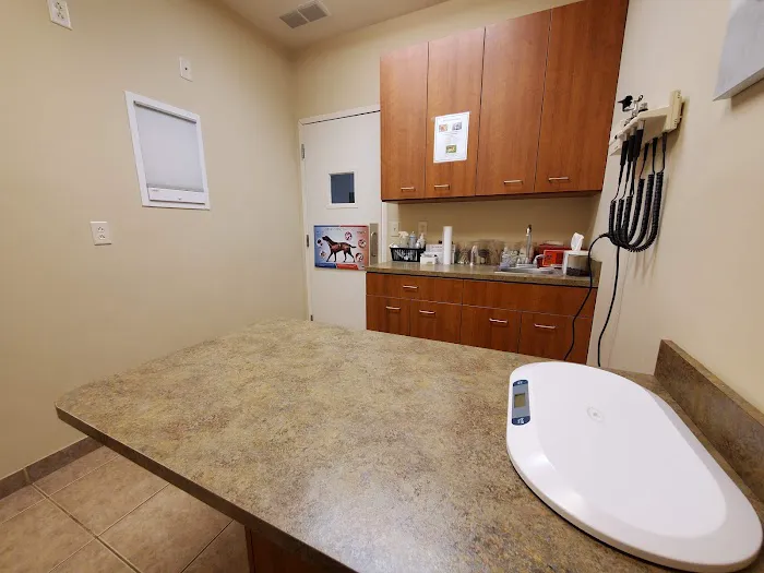 Cornerstone Animal Hospital 12