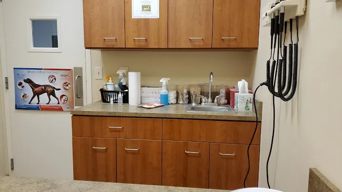 Cornerstone Animal Hospital 12