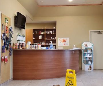 Cornerstone Animal Hospital