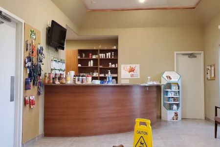 Cornerstone Animal Hospital