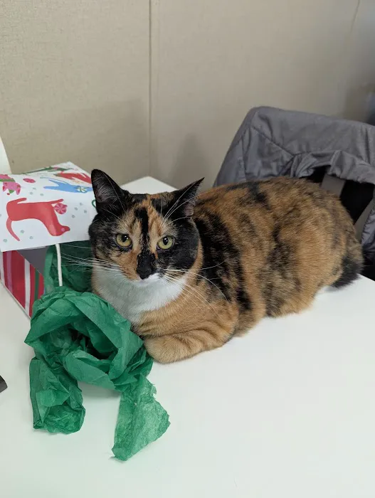Deaton Veterinary Clinic 12