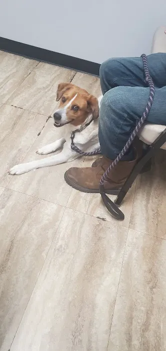 Deaton Veterinary Clinic 12