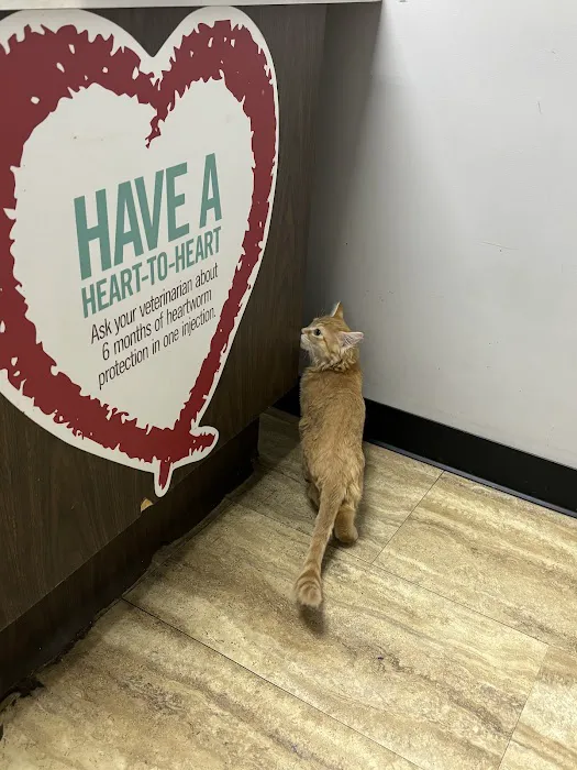 Deaton Veterinary Clinic 12