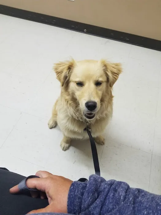 Animal House Veterinary Clinic 12