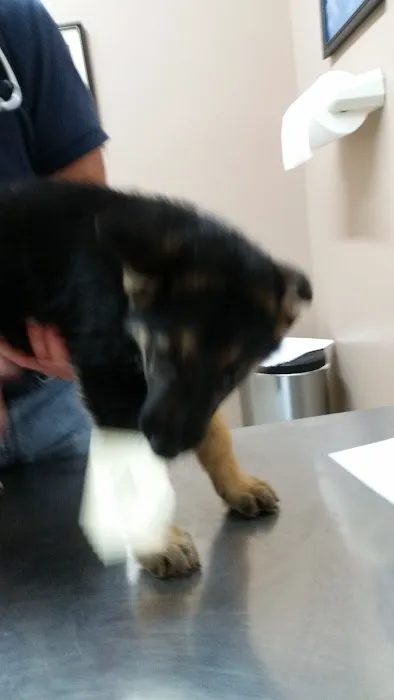 Animal House Veterinary Clinic 12