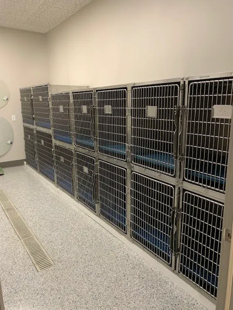 Fredericksburg Veterinary Clinic and Boarding, PC 8