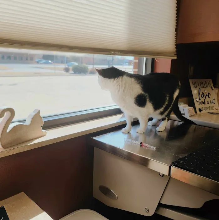 Wags & Whiskers Veterinary Clinic, PC 12