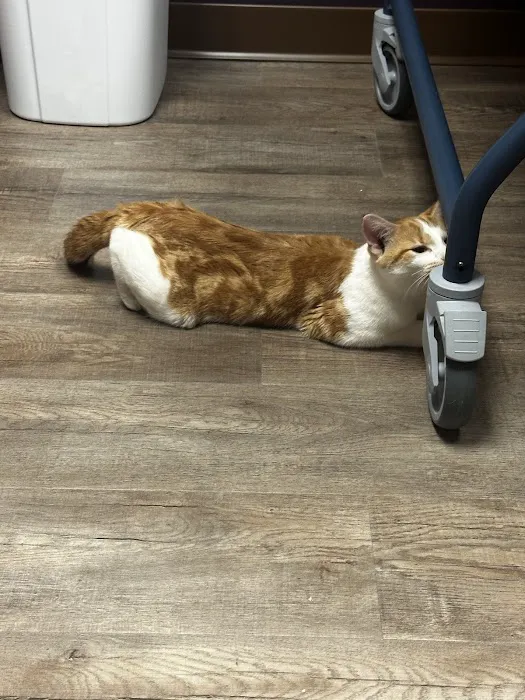 Wags & Whiskers Veterinary Clinic, PC 12