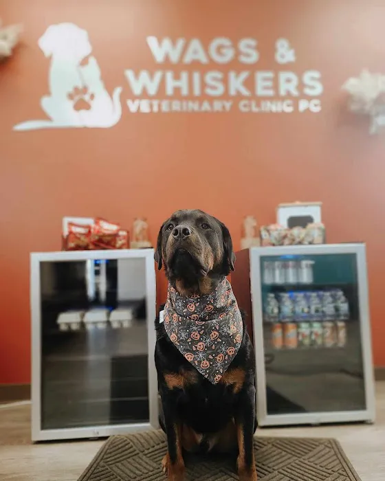 Wags & Whiskers Veterinary Clinic, PC 12