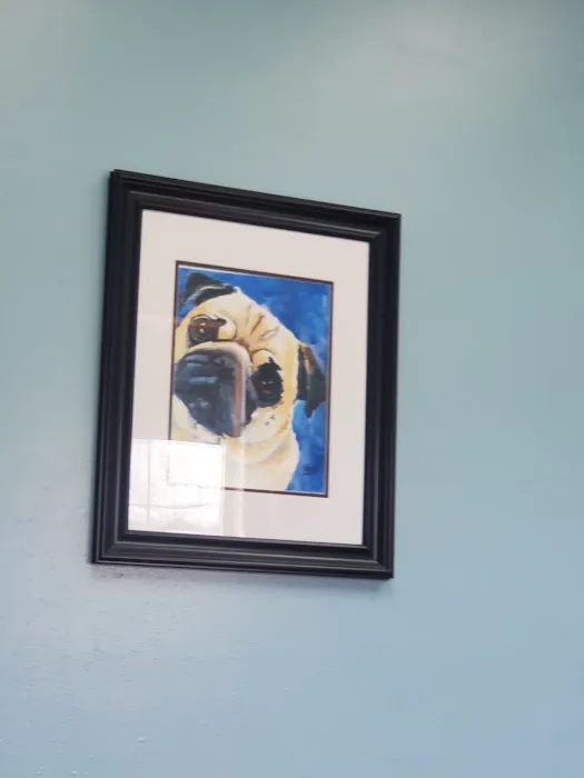 Cresco Veterinary Clinic 1