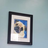 Cresco Veterinary Clinic ico