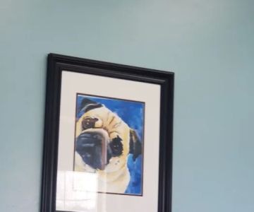 Cresco Veterinary Clinic