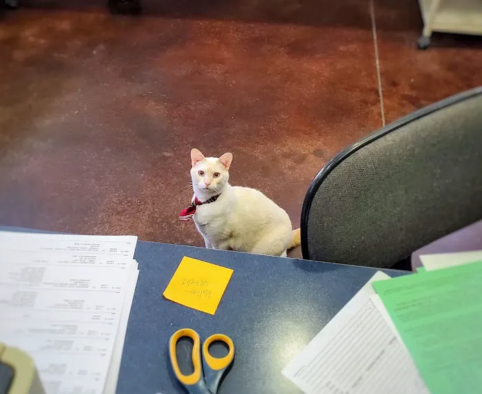 Independence Veterinary Clinic 12