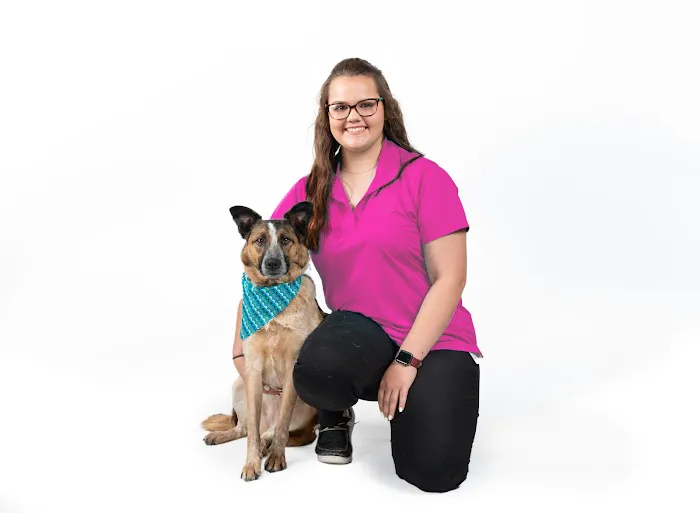 Premier Animal Wellness & Surgery of Independence (PAWS) 6