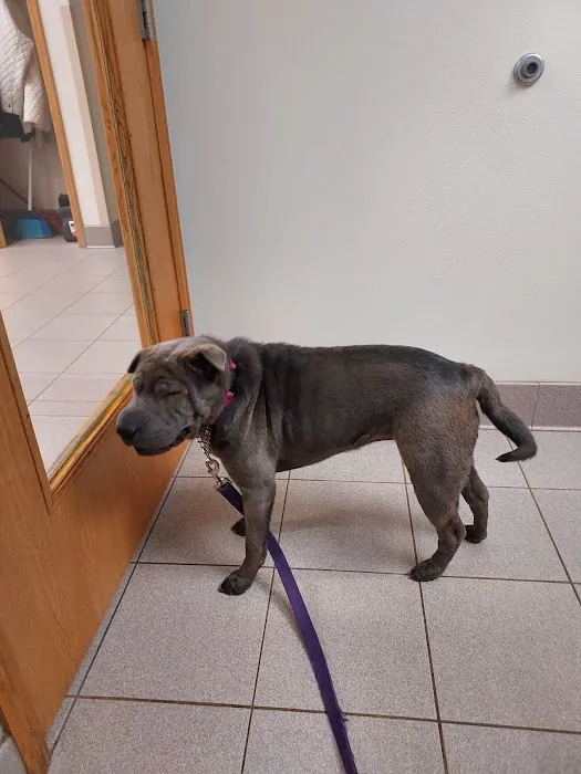 Whitehall Veterinary Services Inc 3