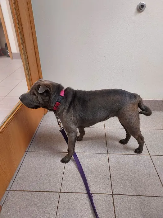 Whitehall Veterinary Services Inc 7