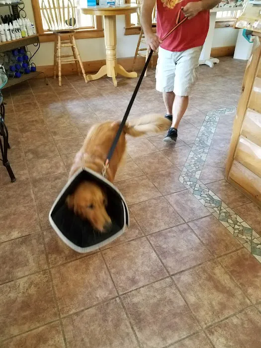 Country Pet Clinic 12