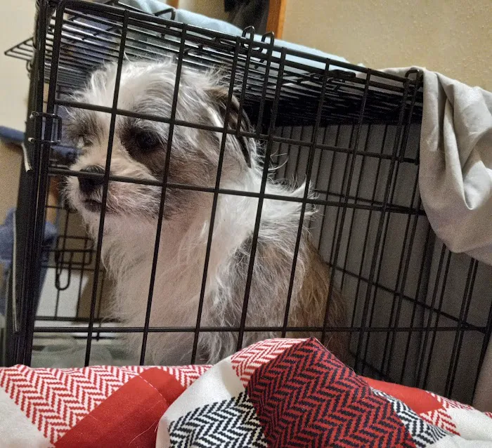 Country Pet Clinic 12
