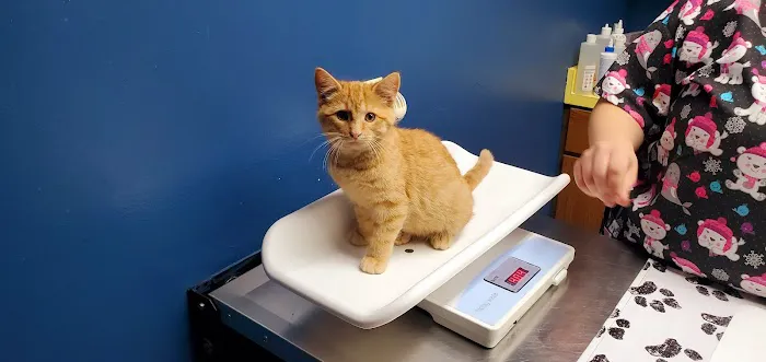 Northwood Vet Service, LLC. 12