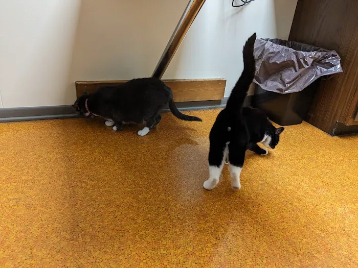 Osseo Veterinary Clinic 12