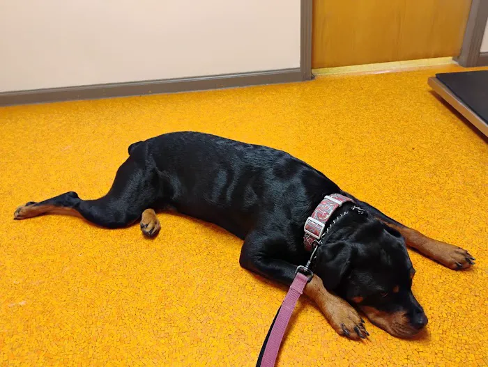 Osseo Veterinary Clinic 12