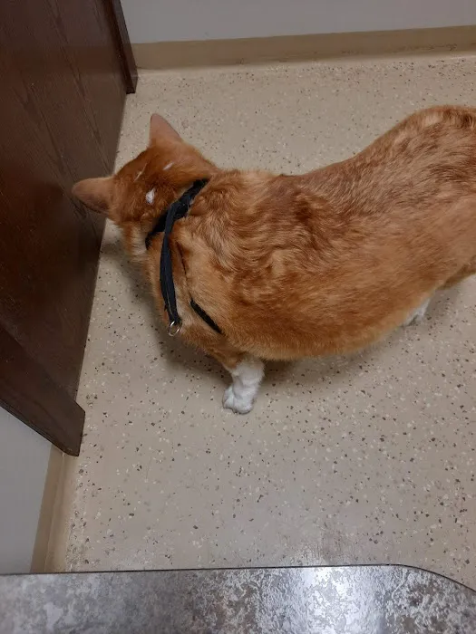 Caledonia Veterinary Clinic 12