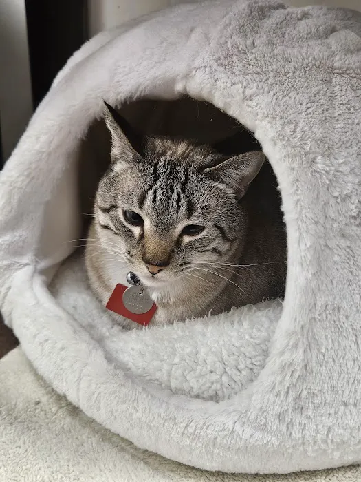 Caledonia Veterinary Clinic 12