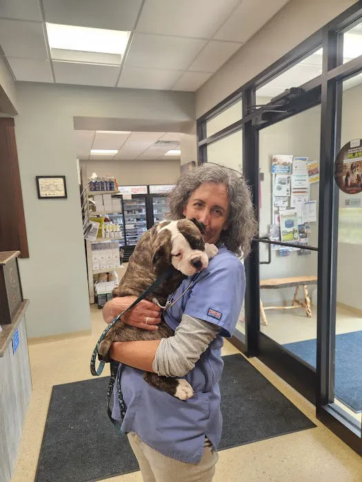 Caledonia Veterinary Clinic 12