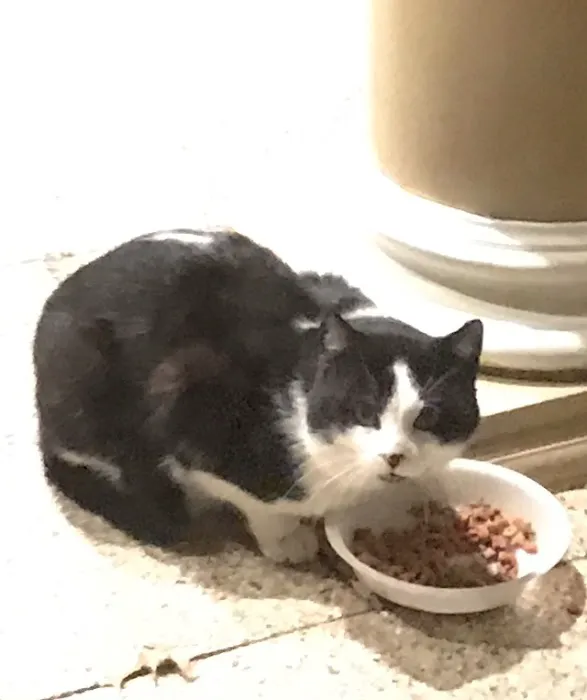 Root River Veterinary Center 4