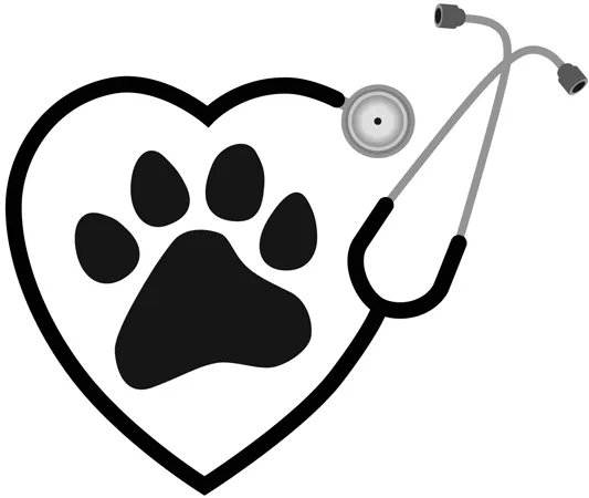 Root River Veterinary Center 6