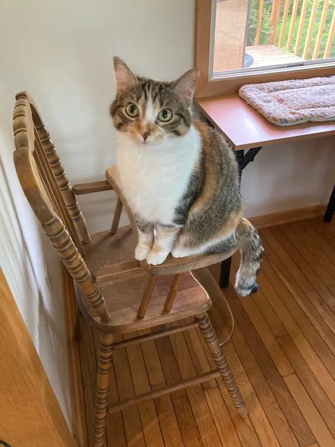 Root River Veterinary Center 1