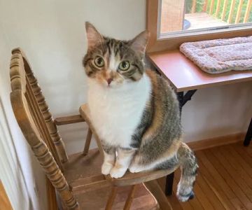 Root River Veterinary Center