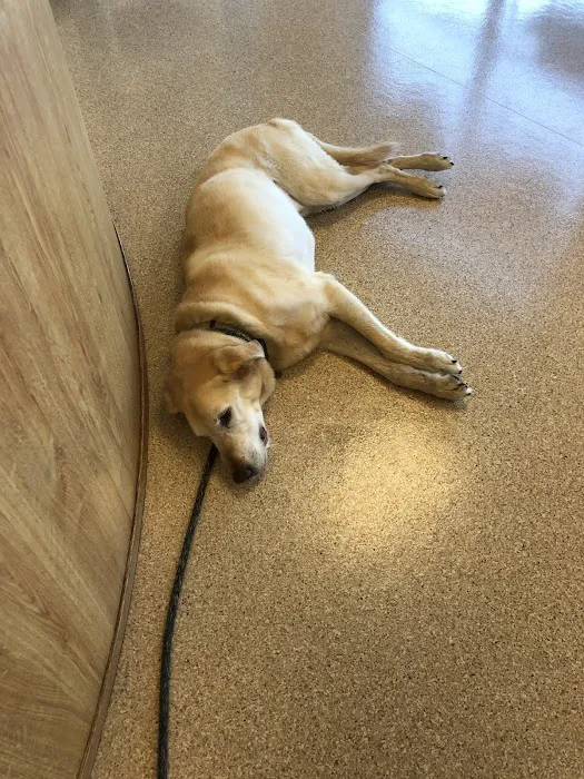 TLC Animal Hospital LLC 12