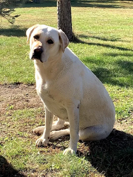 TLC Animal Hospital LLC 12