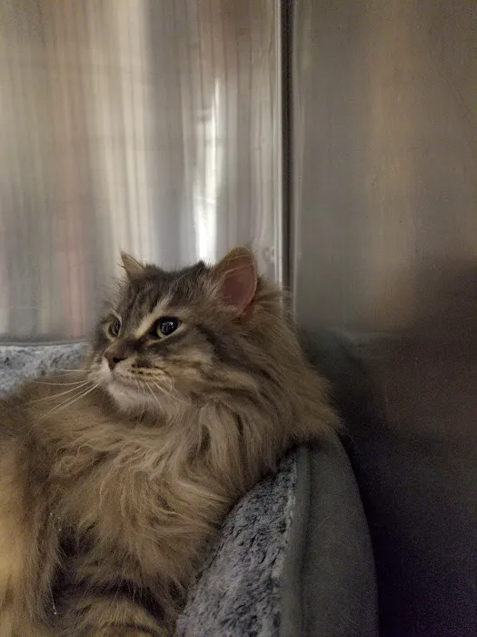 Animal Hospital of Howard 12