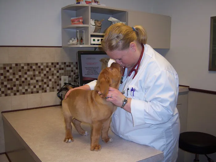 Animal Hospital of Howard 12