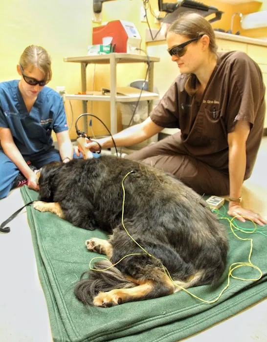 Packerland Veterinary Center 12