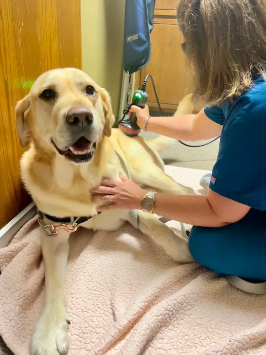 Packerland Veterinary Center 12