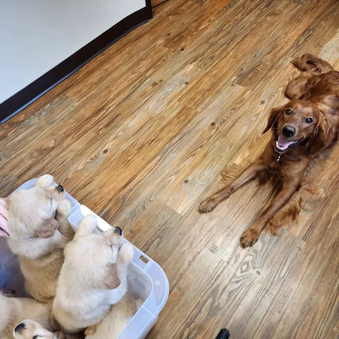 Parkside Animal Care Center 12