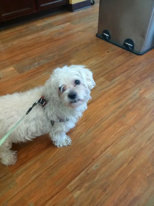 Parkside Animal Care Center 12