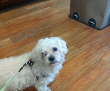 Parkside Animal Care Center