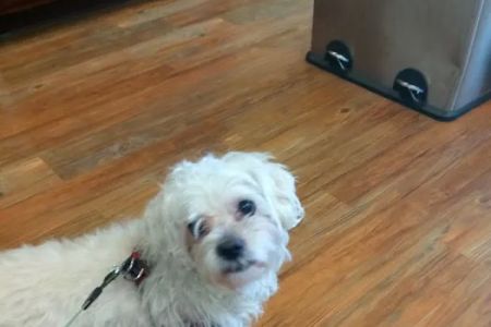 Parkside Animal Care Center