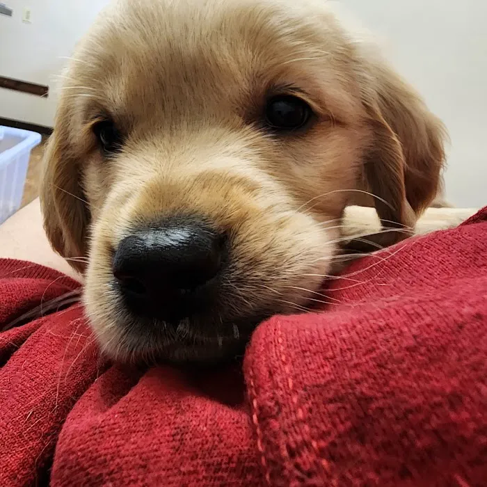 Parkside Animal Care Center 12